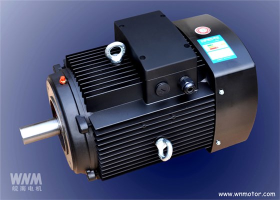 皖南電機成功研發立式多級泵專用電機