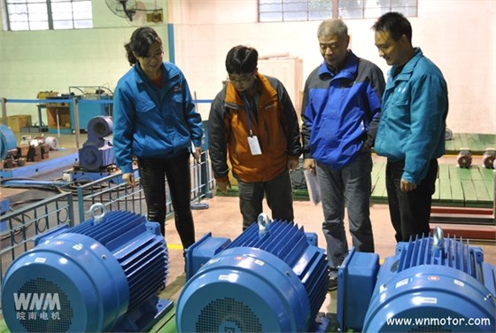 高效電動機(jī)