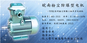 粉塵防爆電機 粉塵防爆電機