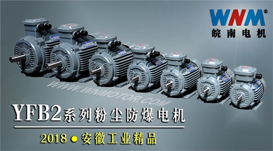 YFB2系列粉塵防爆型電機入選2018年安徽工業精品名單