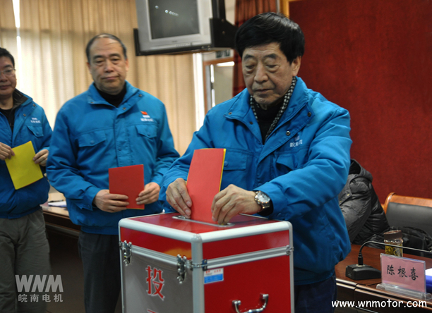 皖南電機陳根喜、管兵在投票現(xiàn)場