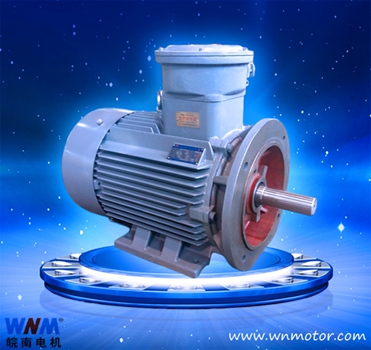 節能防爆電機 節能防爆電機