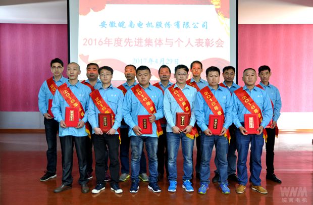皖南電機2016年度標兵 皖南電機2016年度標兵