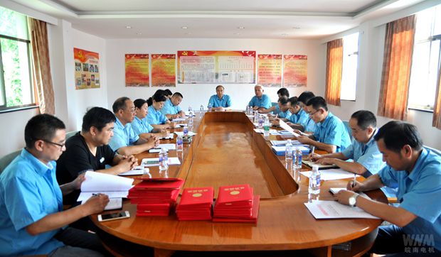 皖南電機:黨委召開紀念“七一”暨“兩先一優”表彰會 皖南電機:黨委召開紀念“七一”暨“兩先一優”表彰會