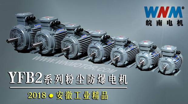 YFB2系列粉塵防爆型電機入選2018年安徽工業精品名單