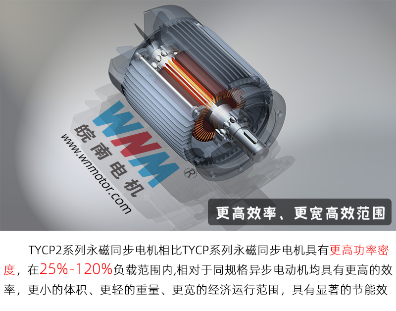 皖南電機-TYCP2永磁電機配圖 皖南電機-TYCP2永磁電機配圖