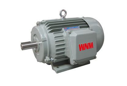 YJZ2系列機(jī)床專用三相異步電動機(jī) YJZ2系列機(jī)床專用三相異步電動機(jī)